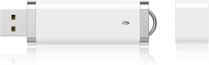 KEXIN 10 Pack 1GB Flash Drive USB 2.0 Flash Drive Pen Drive Memory Stick White