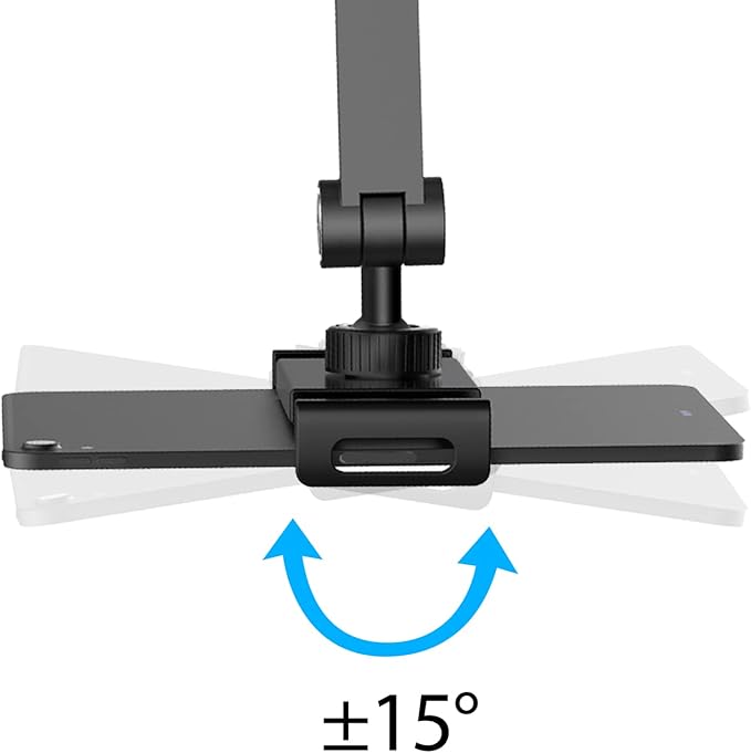 BEWISER iPad Desk Mount, Tablet Holder for Desk or Bed,Rotate 360 Degrees of Flexible, Height and Angle Adjustable, Aluminium Alloy Arm Clamp Mount Compatible with4.7-15.6" Screen (Space Gray)