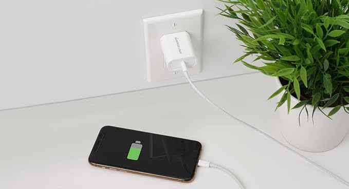 IOGEAR GearPower Compact USB-C 20W Charger 2-Pack - GPAWC20W2P