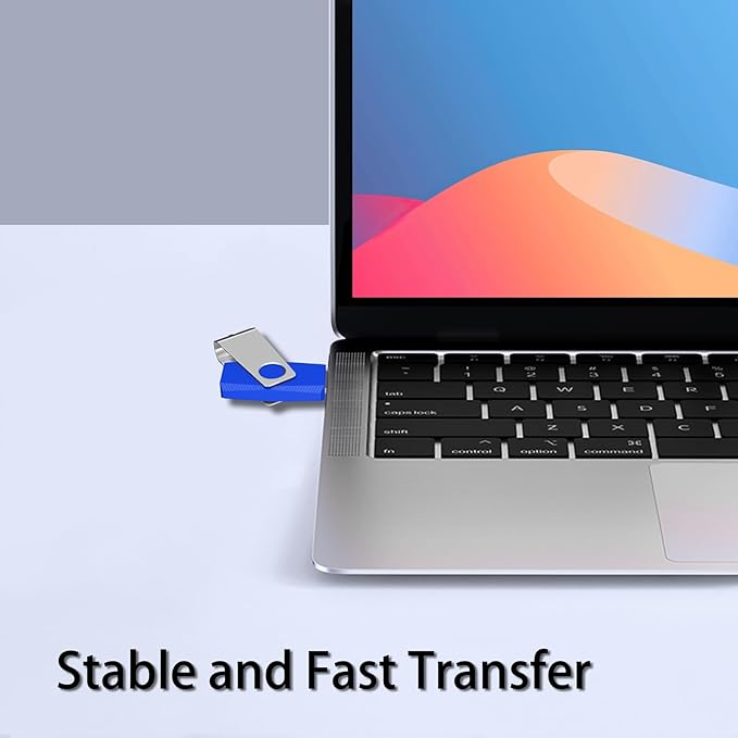 (Not 256GB) 256MB 50 Pack of Flash Drives Bulk EASTBULL USB 2.0 Flash Drives Pack USB Drives Bulk Thumb Drives in Bulk with 50 Strings (256 MB)