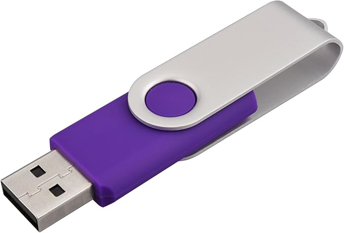 10 Pack 8GB USB Flah Drive USB 2.0 Pen Drive-Purple