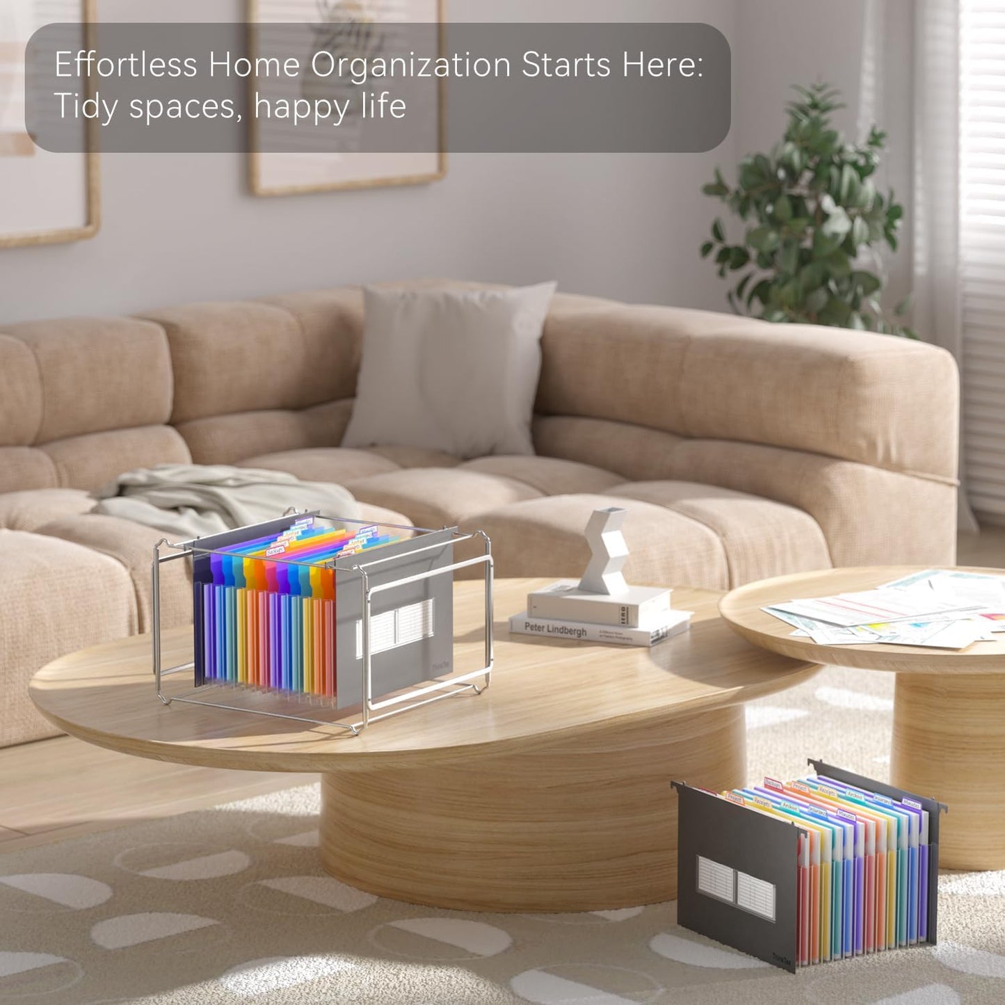 ThinkTex Plastic Expanding Hanging File Folders,12 Accordion Pockets,Large Capacity for Letter Size, Organizer for Filing Cabinet,Ideal for Tax,Contracts,Invoices,for Office,School & Home,Black