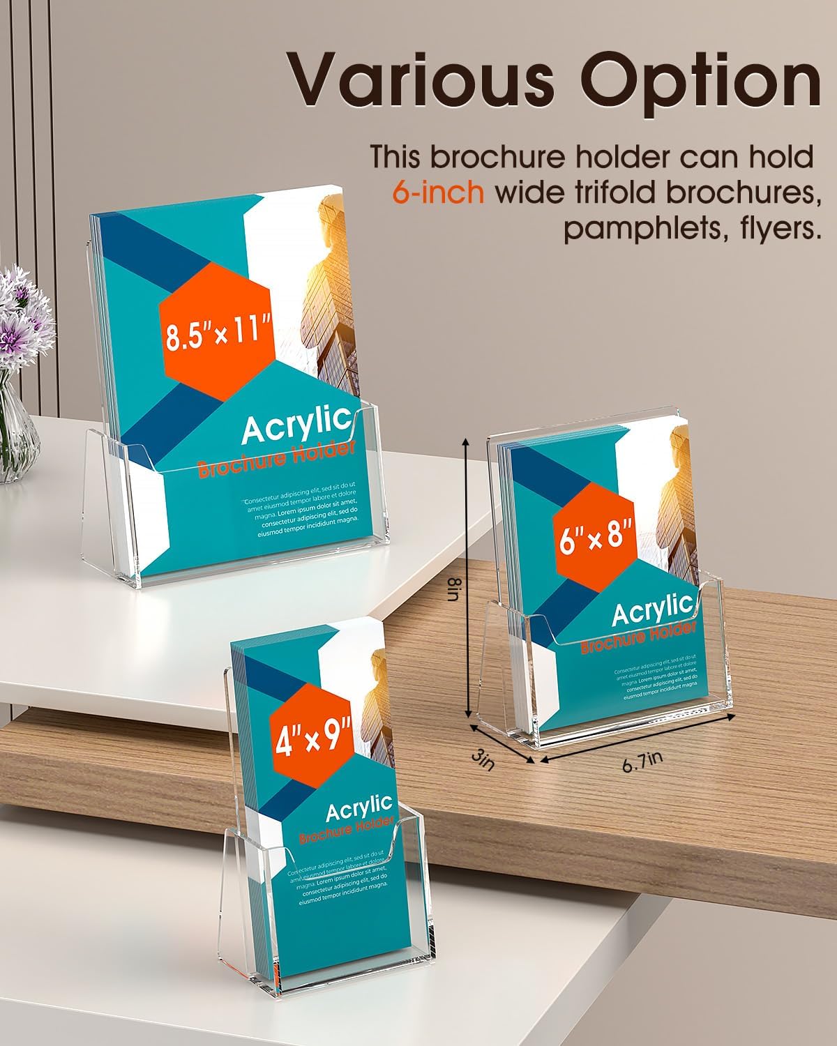 MaxGear Brochure Holder 6 Pack, 6 Inches Wide Acrylic Display Stand Clear Pamphlet Holder Flyer Holder Rack Card Holder Countertop/Desk Organizer for Trifold, Booklet, Literature, Magazine