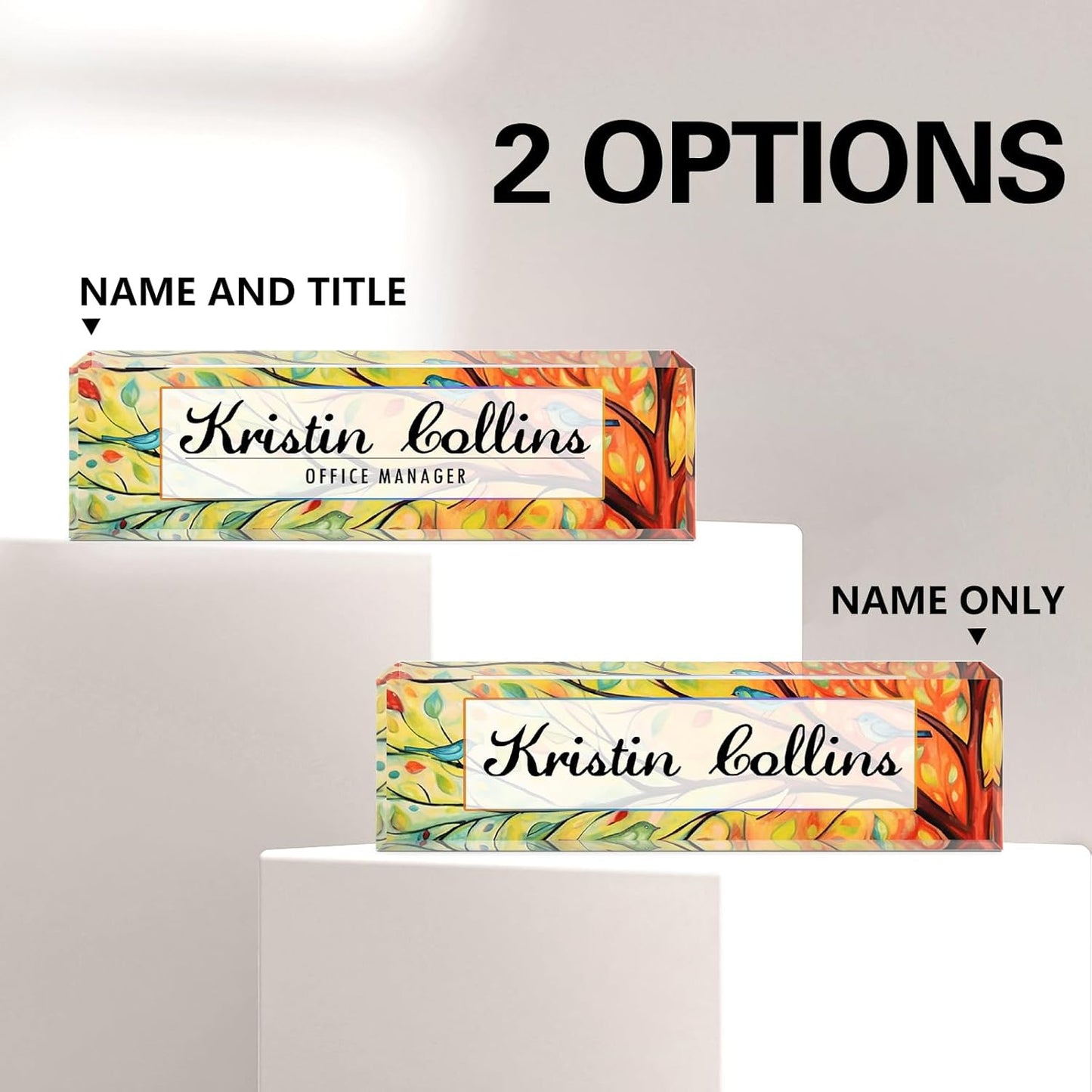 Custom Name Plate for Desk, Acrylic Office Decor For Women Men, Personalized Office Desk Accessories, Teacher Employee Appreciation Gifts For Social Worker Boss Coworkers (Birds)