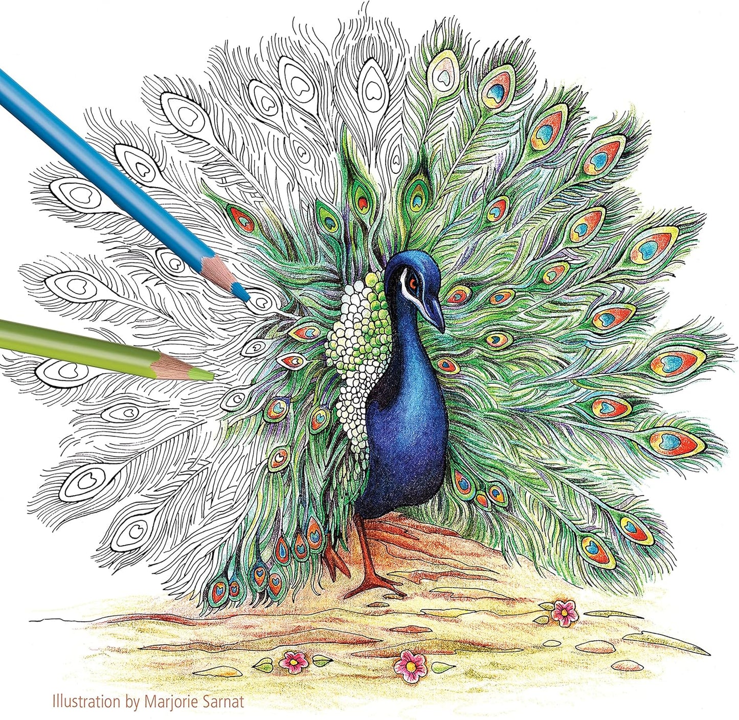 STAEDTLER Colored Pencils Set (72-Pack) - Ergonomic Triangular Barrel, Smooth 4mm Lines, Wood - 72 Vibrant Colors in Tin, for Artists & Students