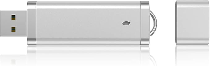 KEXIN 20PCS Flash Drive 4 GB Bulk Pack USB Flash Drive Thumb Drive Memory Storage Jump Drive Design in Snapcap (20 Pack Silver)