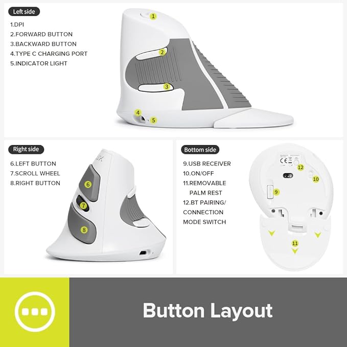 DeLUX Rechargeable Ergonomic Wireless Mouse Silent, 1600DPI, Reduce Hand and Wrist Pain, Vertical Mouse with USB Receiver and BT 5.0, 6 Buttons and Removable Palm Rest (M618G DB-White)