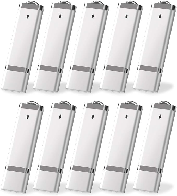 KEXIN 20PCS Flash Drive 4 GB Bulk Pack USB Flash Drive Thumb Drive Memory Storage Jump Drive Design in Snapcap (20 Pack Silver)