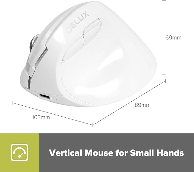 DeLUX Wireless Vertical Mouse, Small Silent Ergonomic Mouse with BT 5.2 and USB Receiver, 6 Buttons and 4000 DPI, Rechargeable Mouse for Carpal Tunnel (M618mini-White)