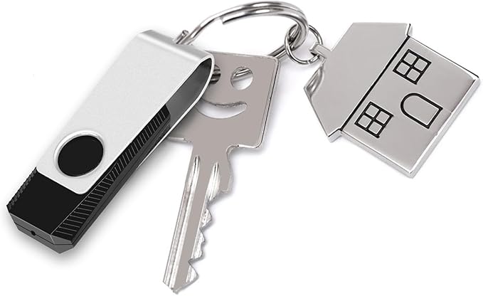 EASTBULL 100 Pack of Bulk Flash Drives 16GB USB 2.0 Flash Drives Pack 16 GB USB Drives Bulk Thumb Drives for Data Storage with 100 Strings and Labels (16GB, Black)