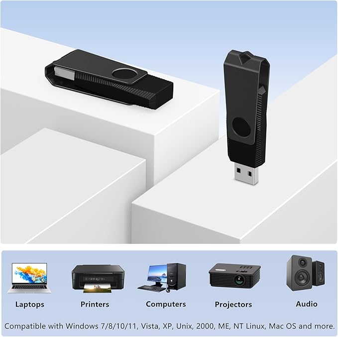 1GB USB Flash Drive 20 Pack, AGECASH A Memoria USB 2.0 Thumb Drive Swivel Metal Bulk Flash Drive USB Drive Multi Pack Pendrive Jump Drive Memory Stick with Keychain (Black, 20PCS 1GB)