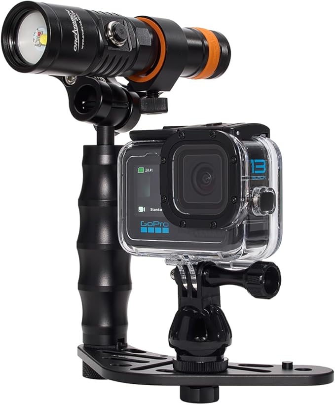 GoPro HERO13 Waterproof Action Camera Dive Kit with 5.3K60 UHD Video, 27MP HDR Photos - Bundle with Protective Housing, Video Light Pack, Camera Tray, Double Clip, 64GB microSD Card (Hero13)