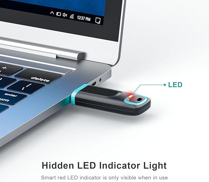 RAOYI 256GB USB 3.0 Flash Drive Thumb Drive High Speed Memory Stick Jump Drive Portable Zip Drive for PC Laptop