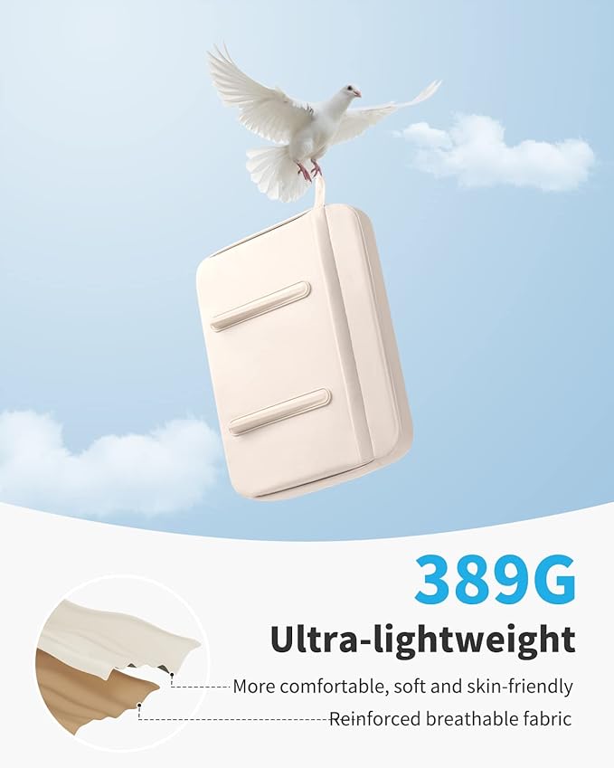 SAIJI Computer Lap Desk with Pillow Cushion,Ultra Lightweight Portable Computer Stand Desk for Couch, Bed & Chair