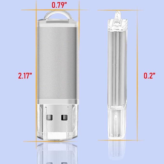 USB Thumb Drive 2GB Flash Drives 20 Pack, Nicepicten Memorias USB 2.0 Memory Stick Fat Flash Zip Drive 2 GB Jump Drives Multipack Pendrive with Landards and Lables (Sliver 2GB, 20 Pieces)