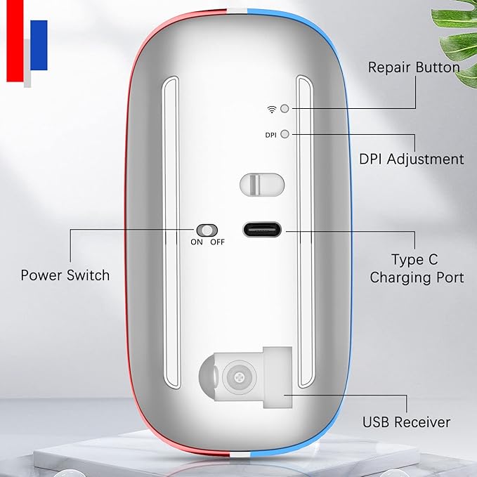JOYACCESS Rechargeable Wireless Mouse, 2.4G Portable Slim Silent Mouse with USB Receiver and Type C Adapter, 5 Level 3000 DPI, Works with Mac or iPad (Blue & Red)