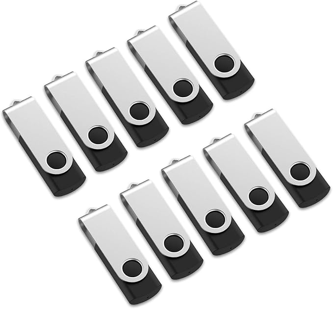 Aiibe 4GB USB Flash Drive Thumb Drives 10 Pack USB 2.0 Memory Stick Jump Drive Swivel Keychain Design (Black)