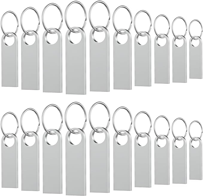 20 Pack 4GB USB Flash Drive with Keychains, Wooolken Sleek Metal USB 2.0 Thumb Drives Memory Stick for PC Laptop Computer(Sliver)