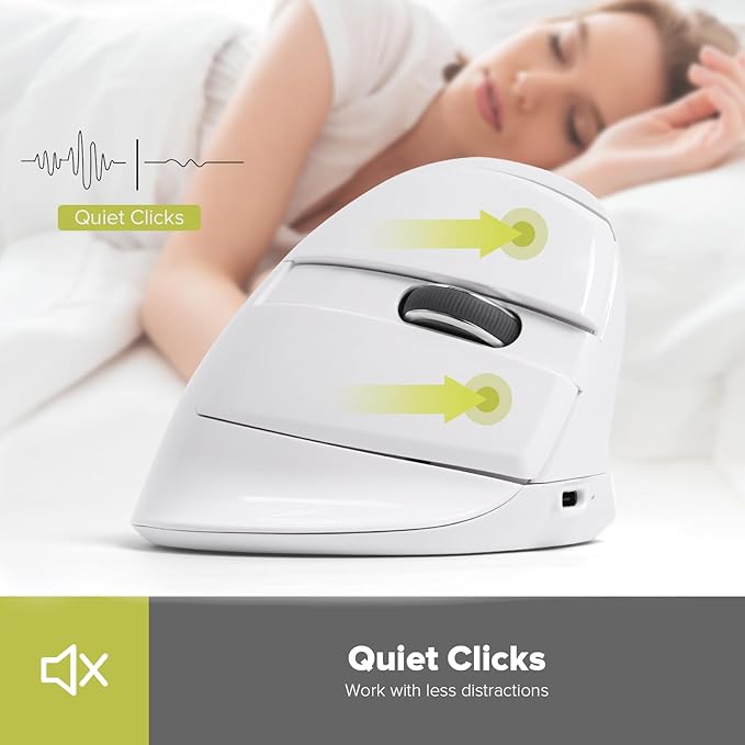 DeLUX Wireless Vertical Mouse, Small Silent Ergonomic Mouse with BT 5.2 and USB Receiver, 6 Buttons and 4000 DPI, Rechargeable Mouse for Carpal Tunnel (M618mini-White)