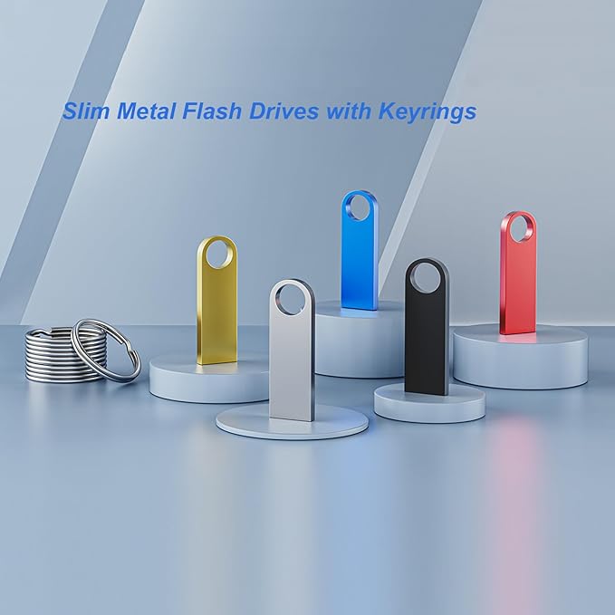 5 Pack 2GB USB Flash Drive with Keychains, Wooolken Sleek Metal USB 2.0 Thumb Drives Memory Stick for PC Laptop Computer
