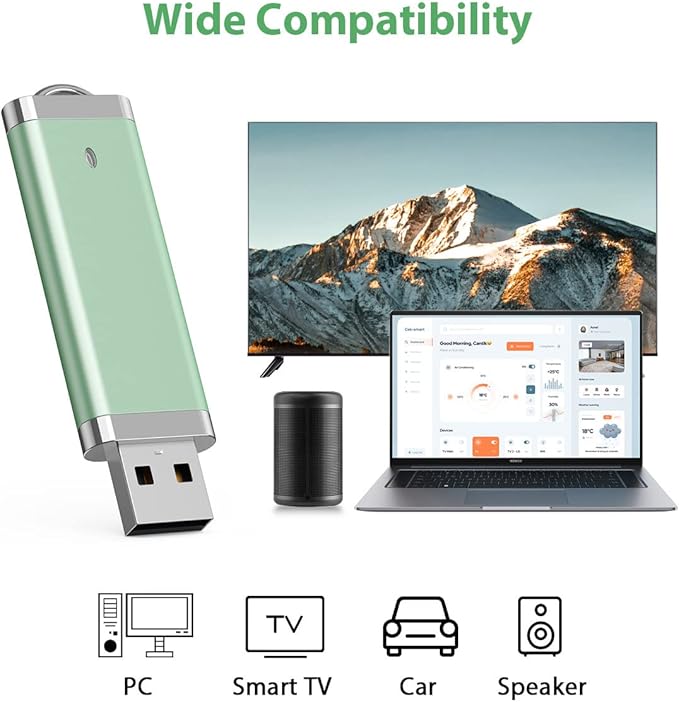 Aiibe 2GB 2G USB Flash Drive 5 Pack USB 2.0 Memory Stick Thumb Drives 2GB (5 Mixed Colors: Blue Green Yellow Pink Purple)