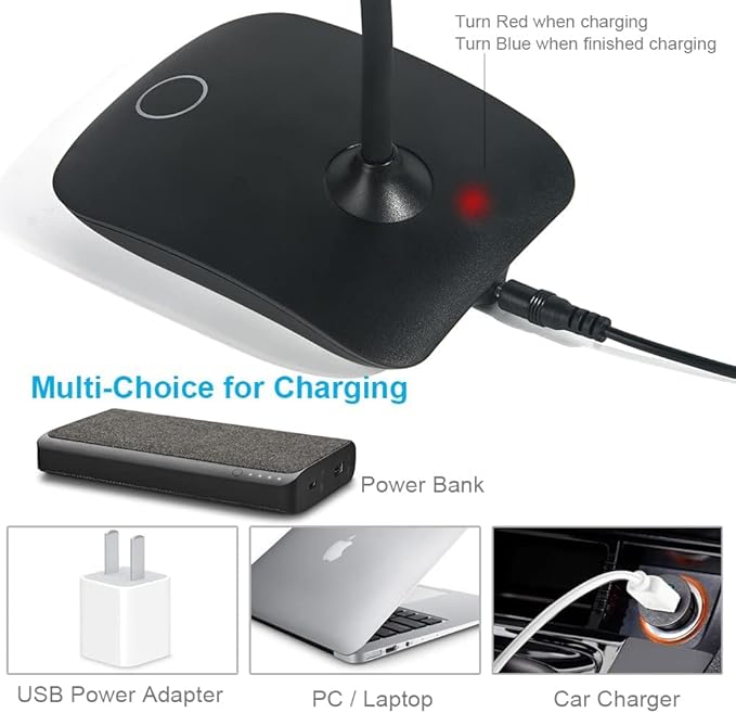 DEEPLITE LED Desk Lamp with Flexible Gooseneck 3 Level Brightness, Battery Operated Table Lamp 5W Touch Control, Compact Portable lamp for Dorm Study Office Bedroom(Set of 2)