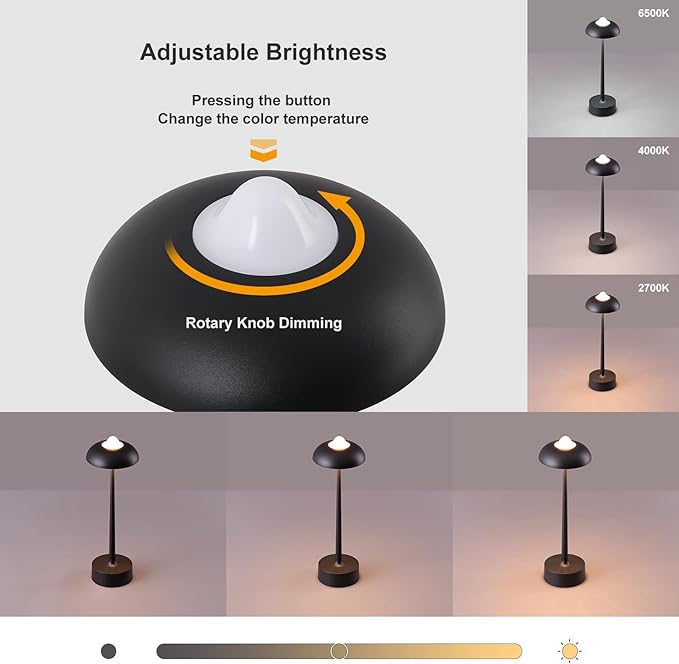 DAWALIGHT Rechargeable LED Desk Lamp - Battery Powered (USB Charging), IP54 3-Color & Brightness Stepless Dimming, 10H Runtime - Portable Aluminum Night Light for Camping, Bedroom, Patio (Black)