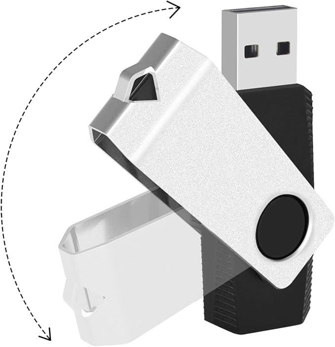 EASTBULL 100 Pack of Bulk Flash Drives 4GB USB 2.0 Flash Drives Pack 4 GB USB Drives Bulk Thumb Drives for Data Storage with 100 Strings and Labels (4GB, Black)