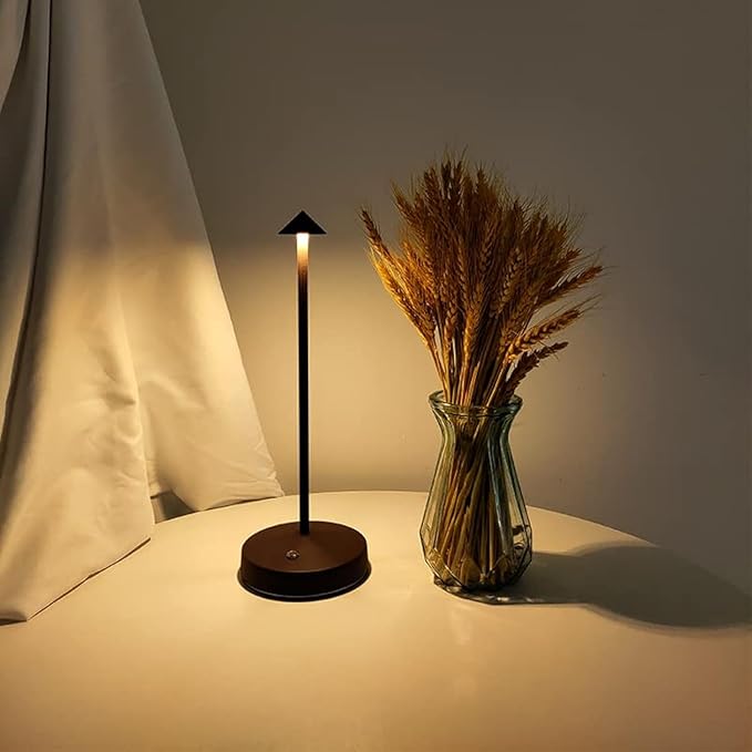 Rechargeable Cordless Table Lamps,Modern Battery Operated Table lamp,Portable LED Touch 2 Levels Brightness Dimmable Bar Lamp,Small Lamp in Aluminum for Bars,Restaurant,Living Room(Rust)