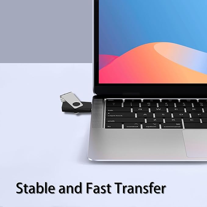 EASTBULL 100 Pack of Bulk Flash Drives 2GB USB 2.0 Flash Drives Pack 2 GB USB Drives Bulk Thumb Drives for Data Storage with 100 Strings and Labels (2GB, Black)