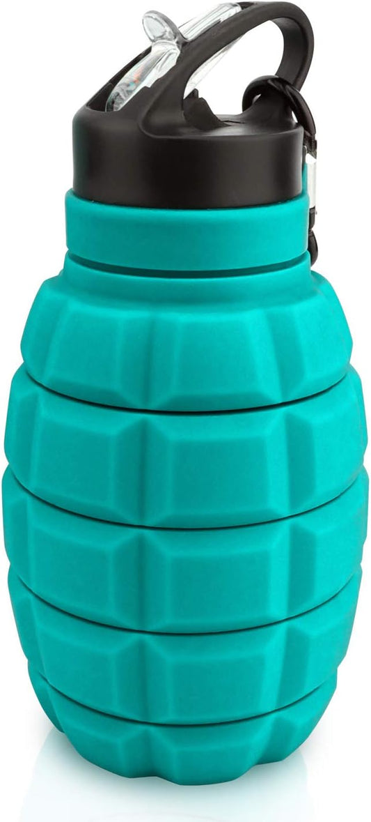QiCheng&LYS 19.5oz Collapsible Travel Water Bottle, Reuseable BPA Free Silicone Foldable Water Bottles for Travel Gym Camping Hiking, Portable Leak Proof Sports Water Bottle with Carabiner(Blue)