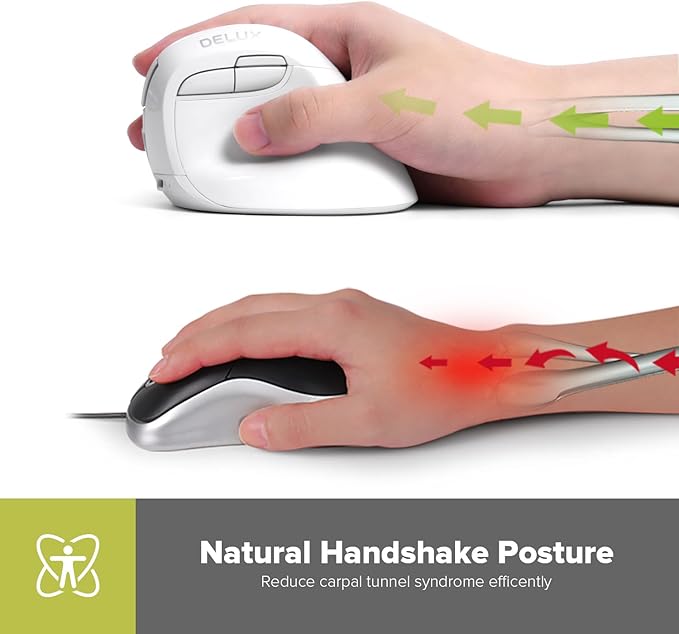 DeLUX Wireless Vertical Mouse, Small Silent Ergonomic Mouse with BT 5.2 and USB Receiver, 6 Buttons and 4000 DPI, Rechargeable Mouse for Carpal Tunnel (M618mini-White)