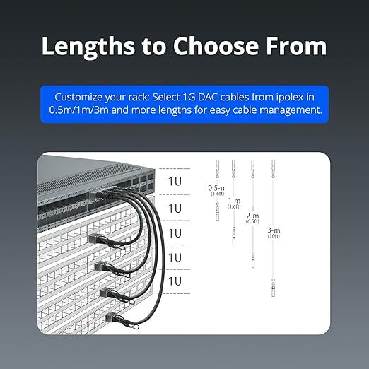 ipolex 1.25G SFP Twinax Cable, Gigabit Direct Attach Copper(DAC) Passive Cable, 2m (6.56ft), for Cisco SFP-H1GB-CU2M, Ubiquiti, Fortinet, Netgear, D-Link, Supermicro, and More