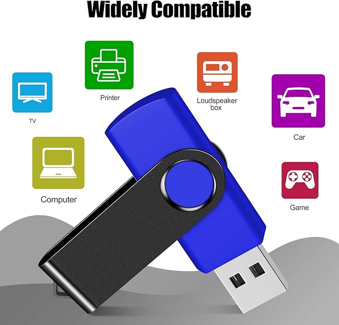 EASTBULL USB Flash Drive Bulk 2GB 20 Pack with Lanyards USB 2.0 Thumb Drive Bulk Memory Stick USB Mass Storage
