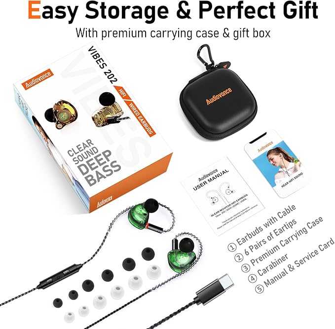 Vibes 202MC USB-C Wired Earbuds - HiFi in Ear Monitor Headphones - Noise Isolating Ear Buds w/ Mic - Clear Sound, Deep Bass & Comfort-Fit Earphones - MMCX to USBC, Silver Plated Cord, Carrying Case