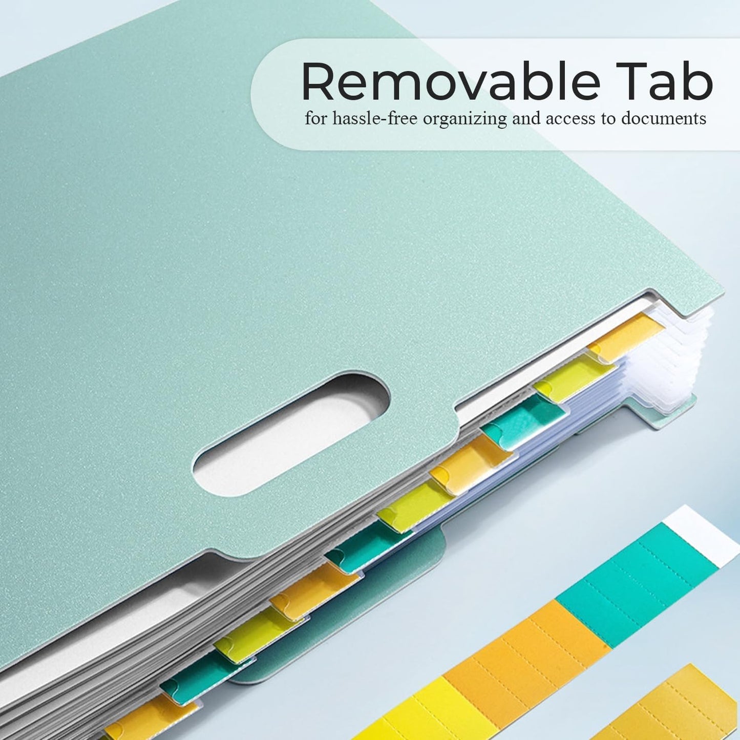 Y YOMA 2 Pack Accordion File Organizer with Handle 12 Pockets Expanding File Folder with Removable Tabs for A4 Letter Size Paper Portable Plastic Filing Organizer Bill Receipt Holder, Mint Green
