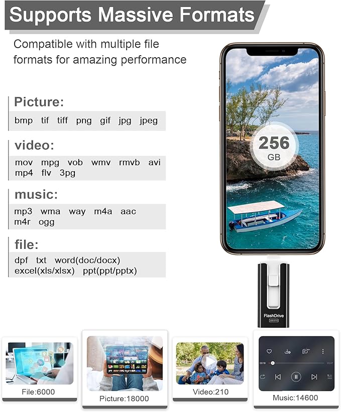 256GB USB Flash Drive for Phone and Pad, Photo Stick High Speed External USB Thumb Drives Photo Storage Memory Stick for Save More Photos and Videos (Black, 256GB)