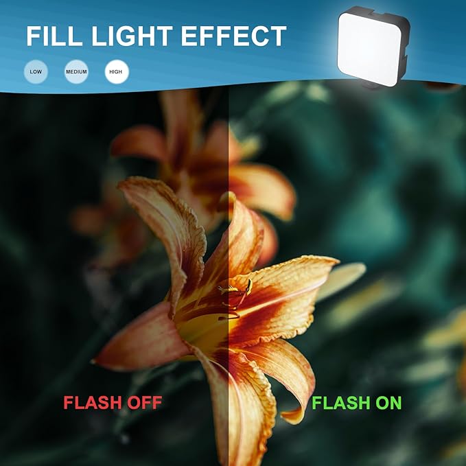 4K Digital Cameras for Photography, 48MP Vlogging Camera for YouTube with Microphone & Tripod Grip, Video Camera with Wide-Angle&Macro Lens, Content Creator Kit & Travel Camera（Pink）