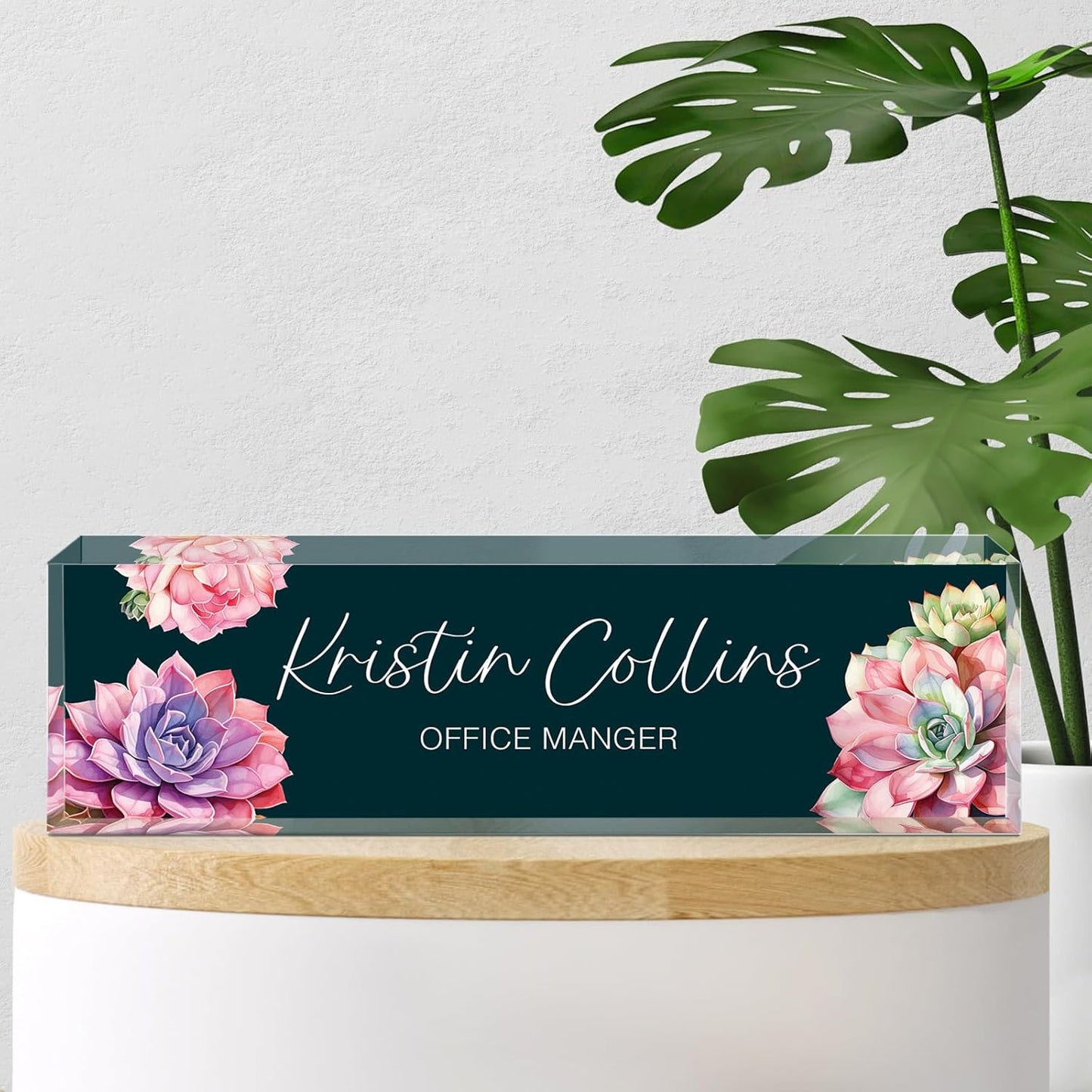 Custom Name Plate for Desk, Acrylic Office Decor For Women Men, Personalized Office Desk Accessories, Teacher Employee Appreciation Gifts For Social Worker Boss Coworkers (Succulent 2)