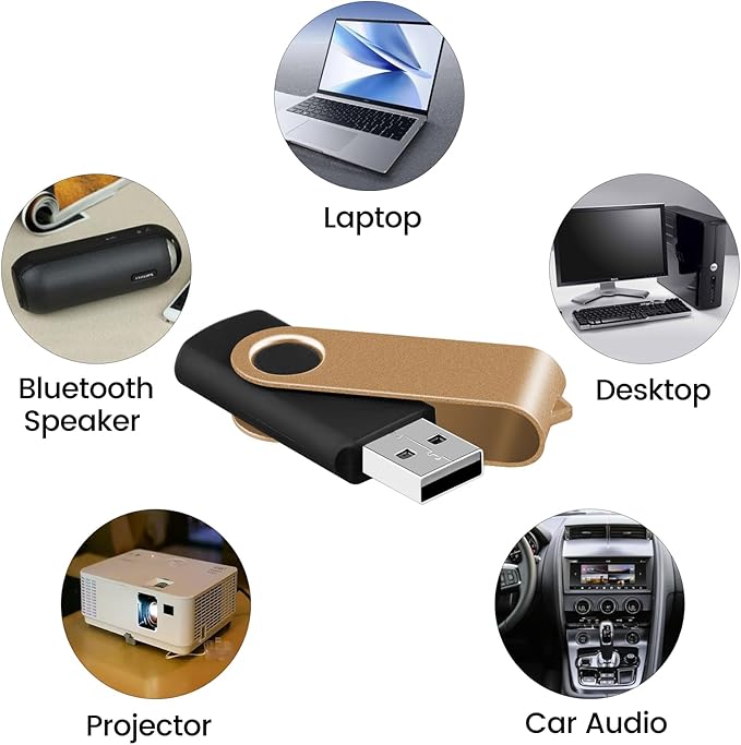 EASTBULL Flash Drive Bulk 2GB USB 10 Pack with Lanyards USB 2.0 Thumb Drive Bulk Memory Stick Swivel Pen Drive for Storage and Backup(2GB 10Pack, Mixed Color)