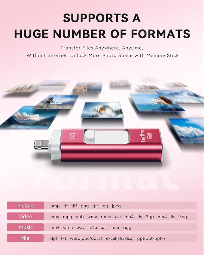 Apple MFi Certified 256GB Flash Drive for iPhone Thumb Drive Photo Stick, USB Memory Stick iPhone Flash Drive for Photos Videos, High Speed Jump Drive Compatible for iPhone/iPad/Android/PC (Red)