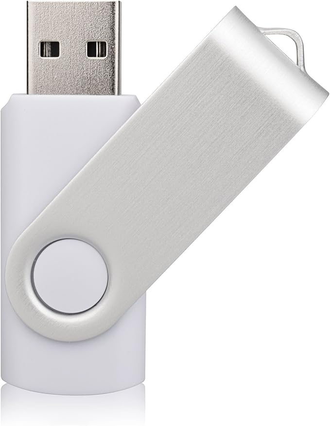 Aiibe 10 Pack 32GB Flash Drive USB Flash Drive USB 3.0 Thumb Drives USB Memory Stick 32 GB 3.0 Flash Drives Bulk (10 Mixed Colors: Black Blue Red Green Orange White Yellow Pink Purple Silver)