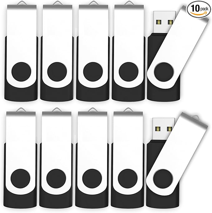 MOSDART No Logo USB2.0 2GB Flash Drive, Swivel Design with LED Indicator, Keychain Loop, FAT32 Memory Stick for Data Storage, Black(Pack of 10)