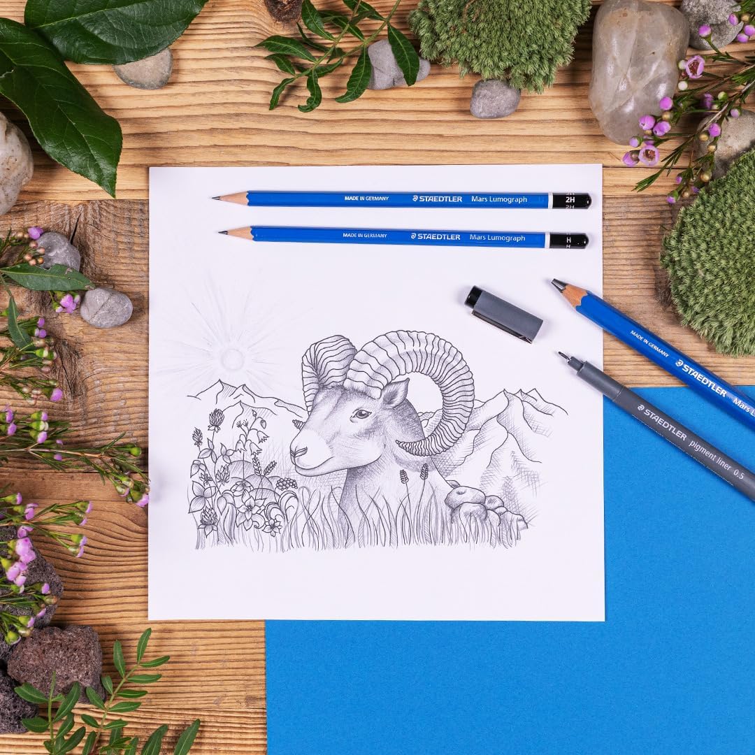 STAEDTLER Mars Lumograph Graphite Artist Pencil Pack, 12 Degrees (8B, 7B, 6B, 5B, 4B, 3B, 2B, B, HB, F, H, 2H), Mars Plastic Eraser, 61 100 P