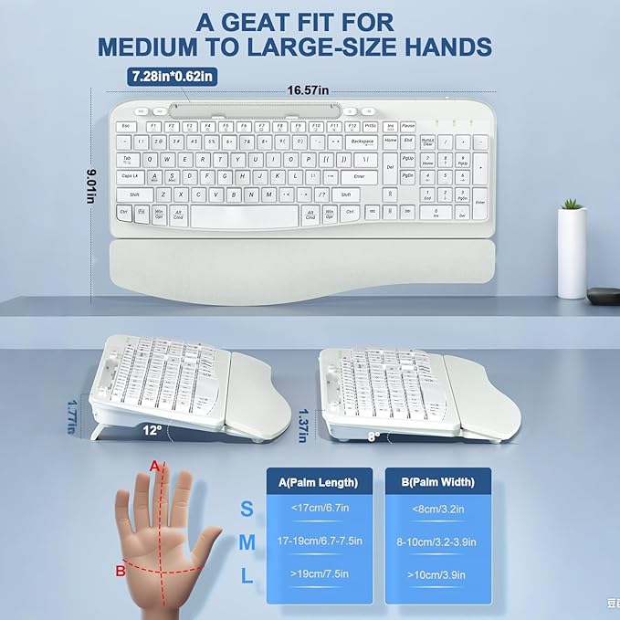 Ergonomic Wireless Keyboard with Cushioned Wrist Rest, Wave Keys, Phone Holder, Comfortable Natural Typing, 2.4GHz Full Size Cordless USB Computer Keyboard for Laptop, Mac, Windows (White)
