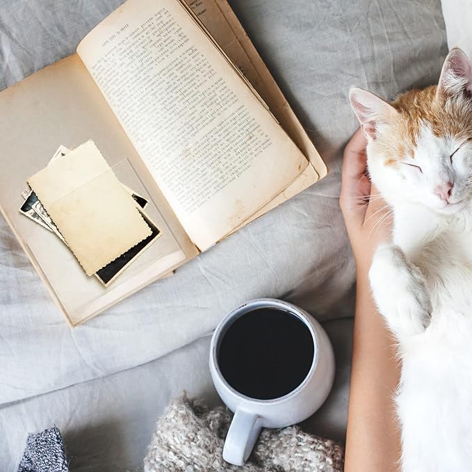 Tinlade 12 Pcs Adhesive Clear Corner Pockets 6 x 6 Inch Sticky Pocket Sleeves Self Adhesive Planner Pockets Adds Extra Storage Space to Notebooks Folders Planner Accessories, Home Office School