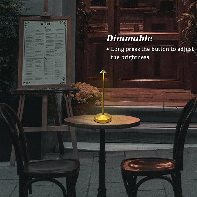 Rechargeable Cordless Table Lamp,Small Table Lamp,Portable LED Touch 2 Levels Brightness Dimmable Bar Lamp,Battery Powered Desk Lamp for Bars,Restaurant,Living Room(Gold)