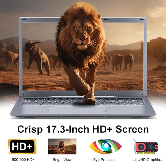 17 17.3 inch HD+ Laptop Computer, 16GB RAM 512GB SSD, Intel Celeron N5095(Up to 2.9Ghz), Wi-Fi, HDMI, Webcam, Backlit Keyboard, Fingerprint, Windows 11 Pro + MS Office for Students and Business, Gray