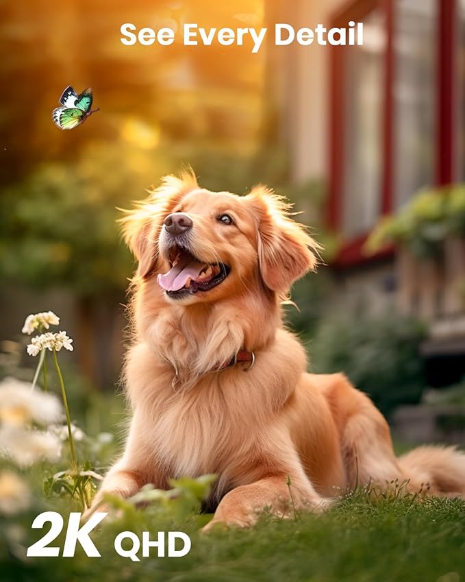 AOSU Solar Camera Security Outdoor - Security Cameras Wireless Outdoor with 360° Panoramic View, Human Auto Tracking, 2K Night Vision, Compatible with Alexa/Google Assistant (2 Pack)