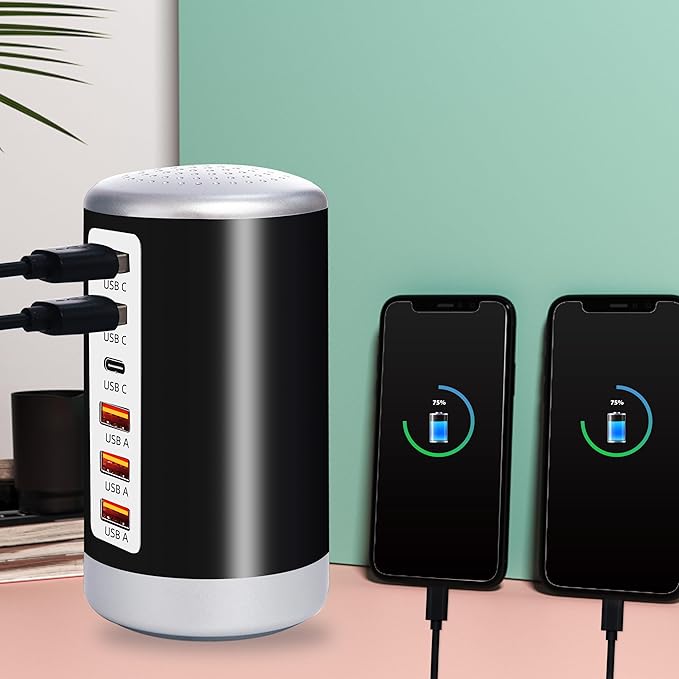 USB Charger,60W USB Charging Station with 6-Port(3 USB-A Port & 3 USB-C Port) Compatible with iPhone 15/14/13/13pro Max 12/12 Mini/12Pro/12 Pro Max/11,Tablets, Smartphones Black